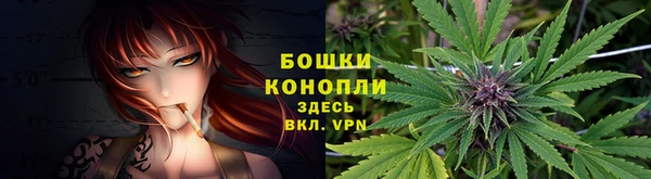соль курить ск Белокуриха