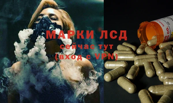 стафф Богородицк